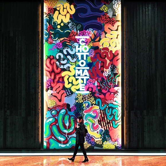 Meet your Posher, Momo - Picture 1 of 1